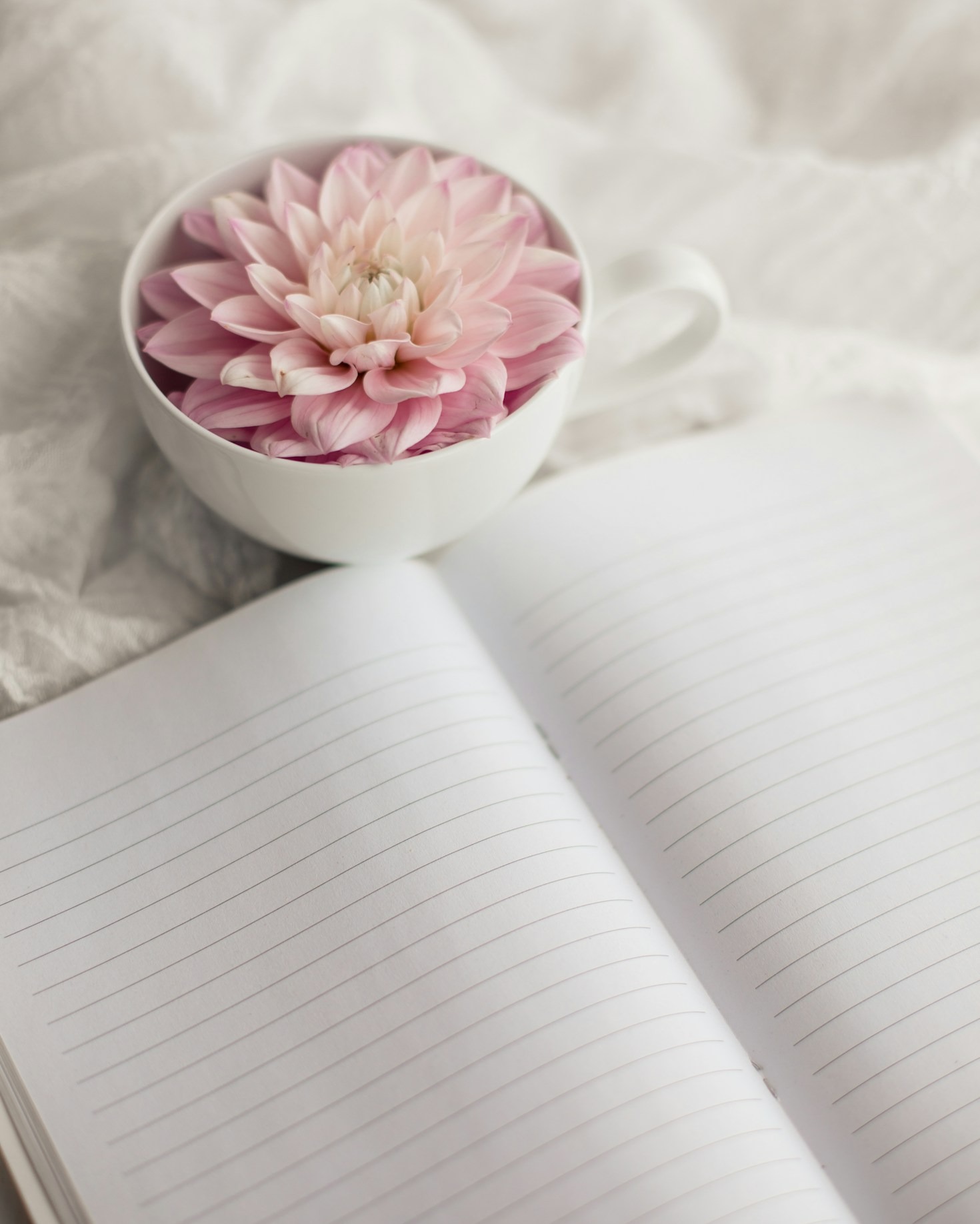 Lessons From a Year of Storytelling